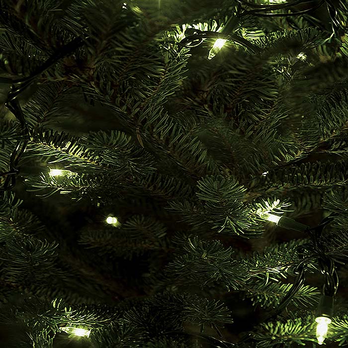 closeup image of Christmas tree